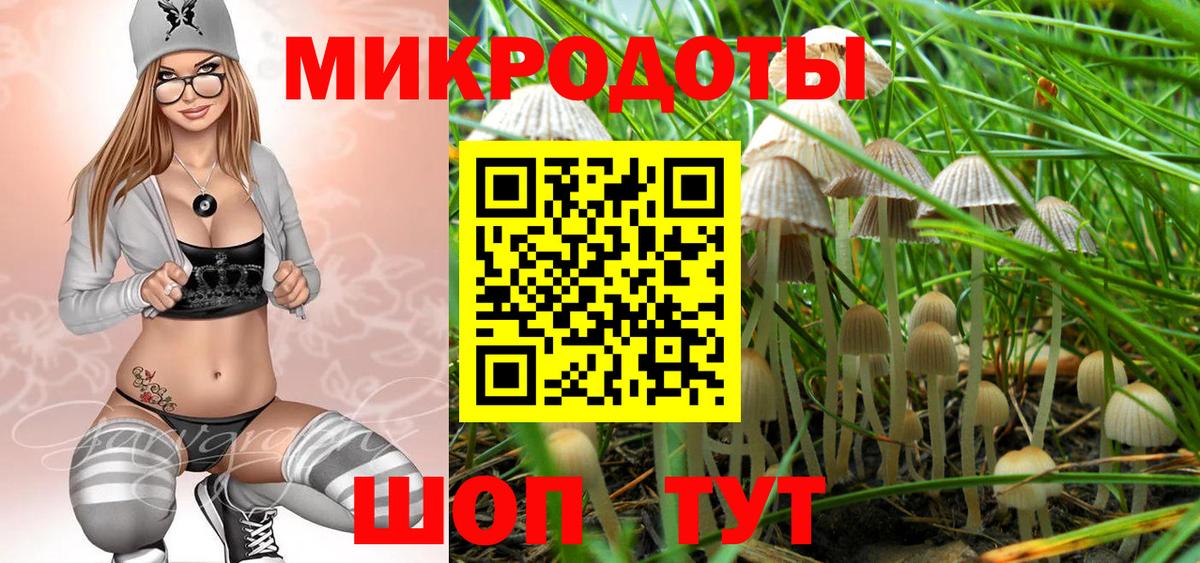 Галлюциногенные грибы Psilocybe Гай