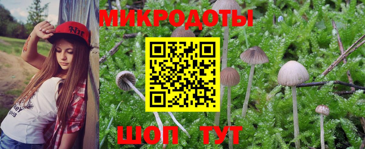 Псилоцибиновые грибы GOLDEN TEACHER  Псилоцибиновые грибы Psilocybe  Вход с VPN  как найти закладки  Гай 