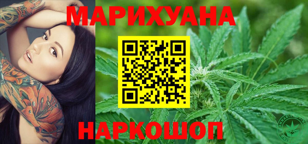 Конопля планчик Гай